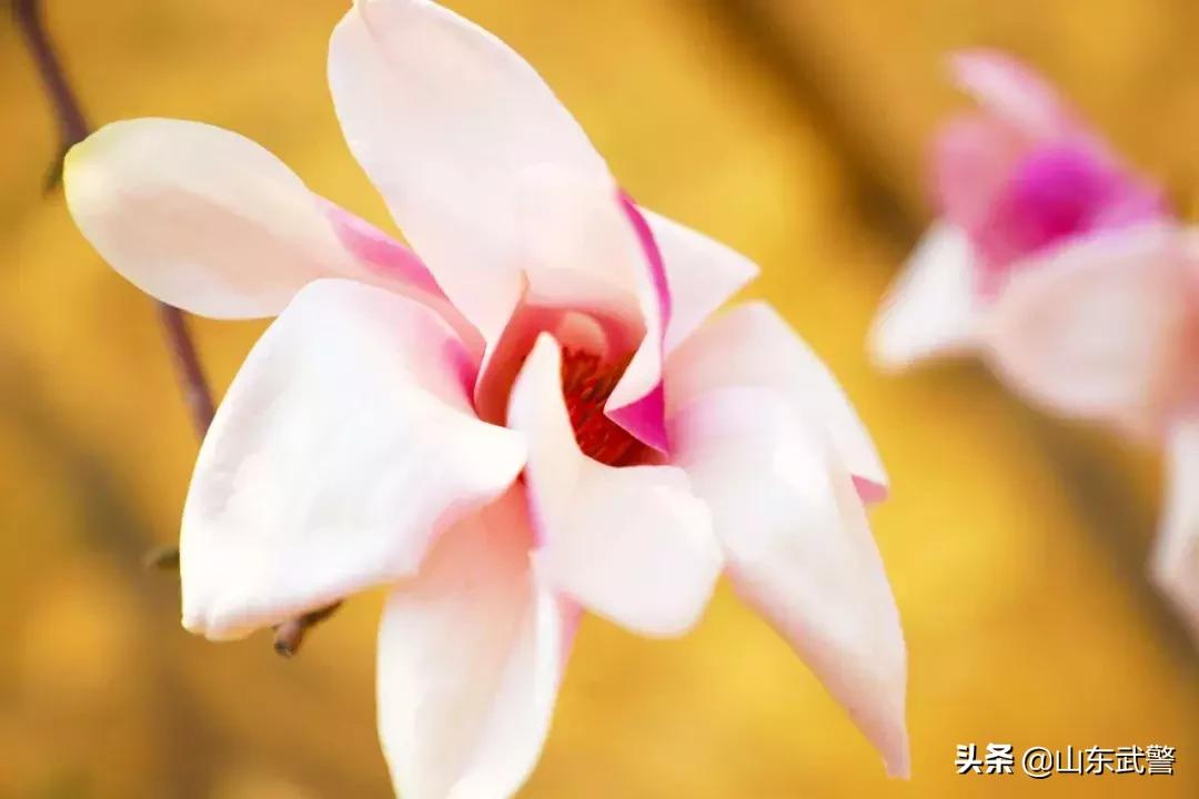 在军营的日子里,在军营里挥洒青春和汗水