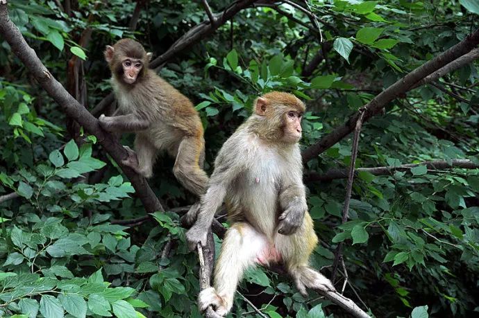 森田疗法讲的就是对待事情的心态,森田疗法三句话