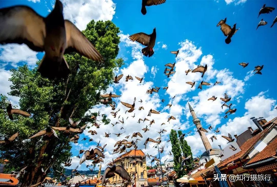 伊朗护照免签国家一览表,伊朗护照免签国家有哪些