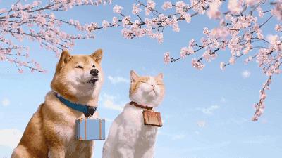 马鞍山适合散步的公园,马鞍山散步的地方