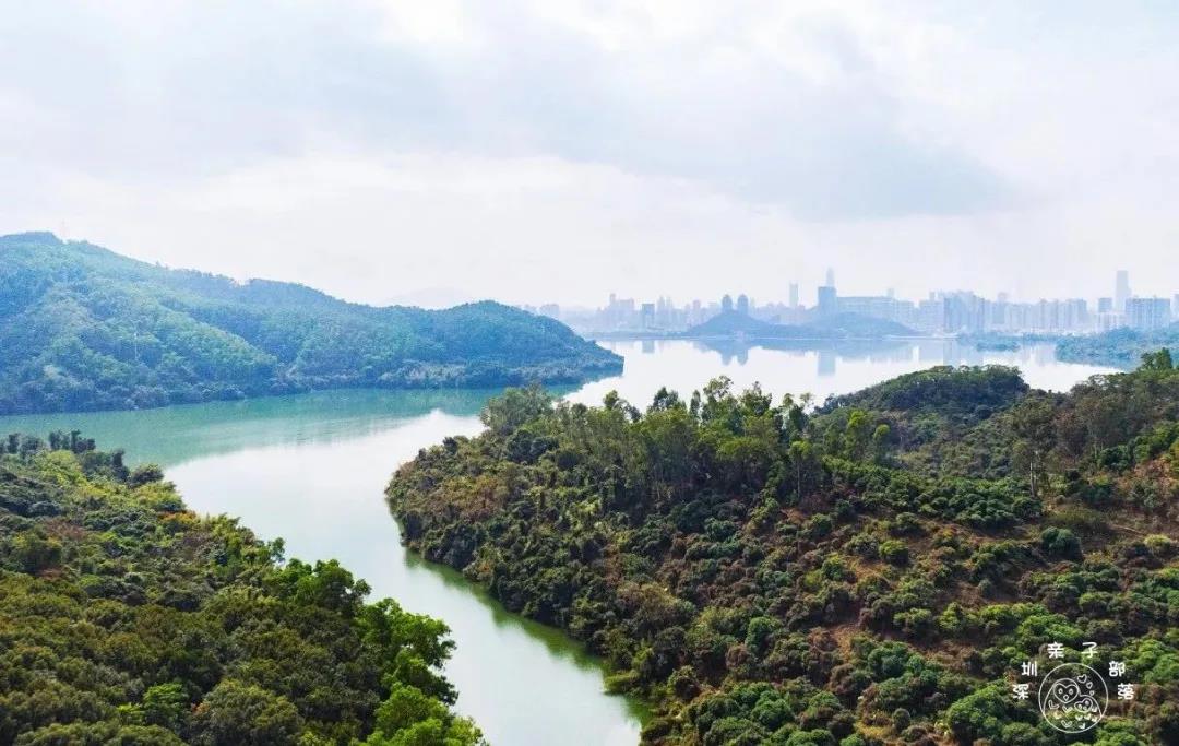 深圳遛娃必去景点免费过年,深圳适合儿童游玩的公园