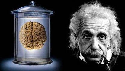爱因斯坦是谁把他大脑偷走了,爱因斯坦死后他的脑子怎么了