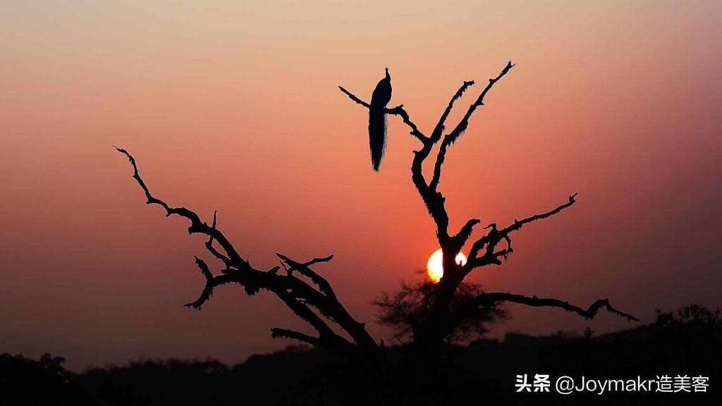 斯里兰卡的景点推荐游记,斯里兰卡十大必游景点介绍