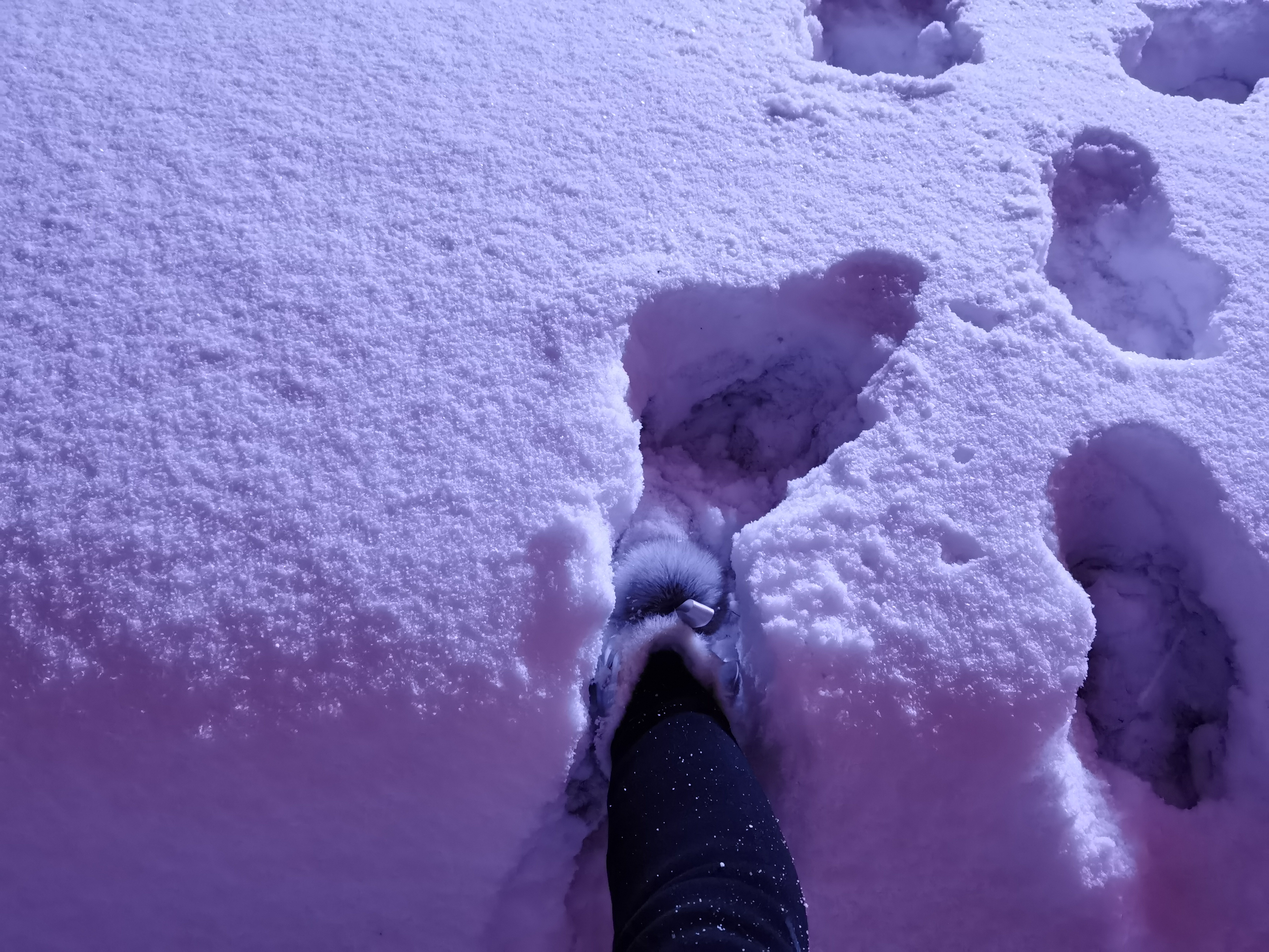 东北旅游人均1500,东北人旅游全攻略