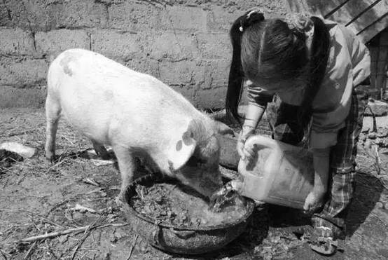 回忆初心出走半生归来仍是少年,出走半生如今不再是少年