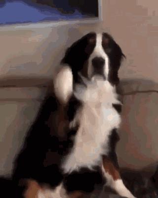 吓得娃儿们这个跑啊,绳子都拦不住哇