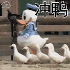 广州罗湖医院助产士,罗湖市医院助产士