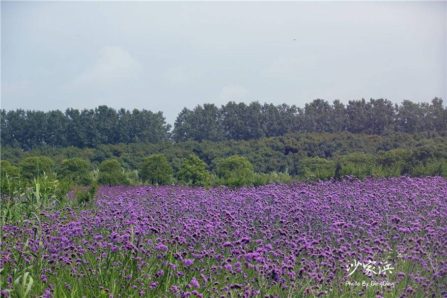 苏州红色革命旅游景点图片,苏州红色革命景点介绍视频