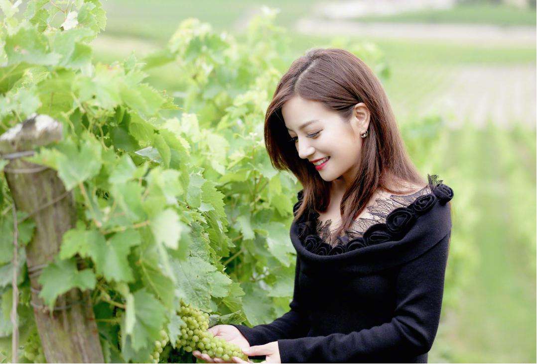 小燕子赵薇现状,两代小燕子