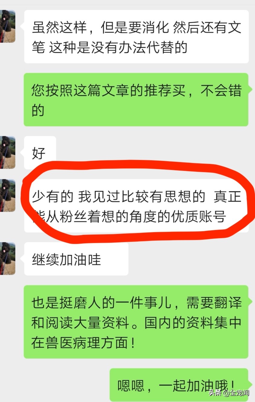 只有2000多粉丝的我们，为何坚持在头条上为宠物领域发声？