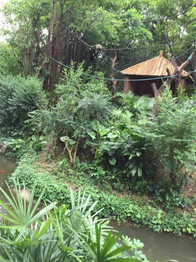 长隆野生动物园旅游攻略带娃,广州长隆动物园适合亲子游