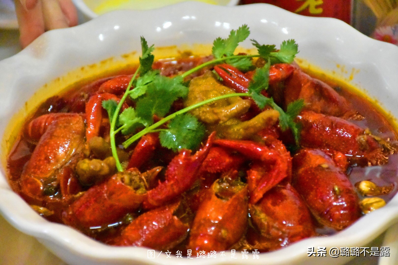 检验鱼最好的方法,怎样鉴别鱼是否是健康的