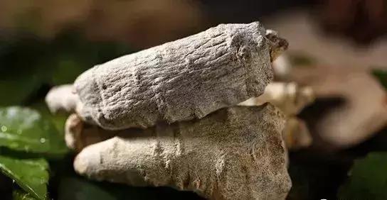 鉴别三七,最全三七鉴别法点进来终身受用