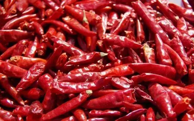 辣椒可以喂猪吗,辣椒在饲料中的作用