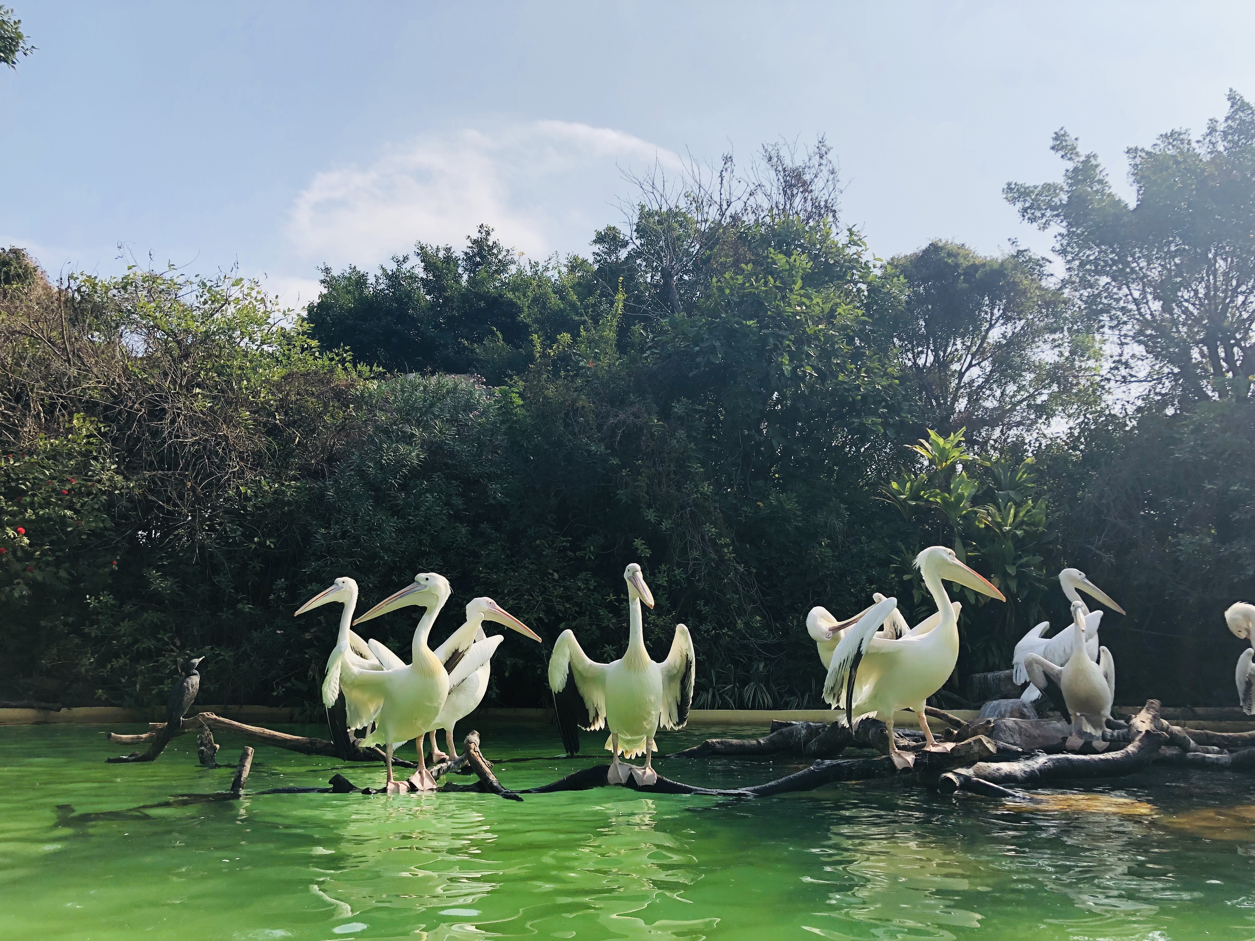 寒假带孩子去长隆玩什么,长隆寒假旅游攻略