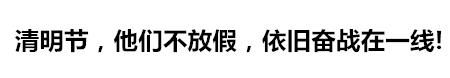 文明祭祀防山火共护绿水青山,清明节文明祭祀预防火灾工作简报
