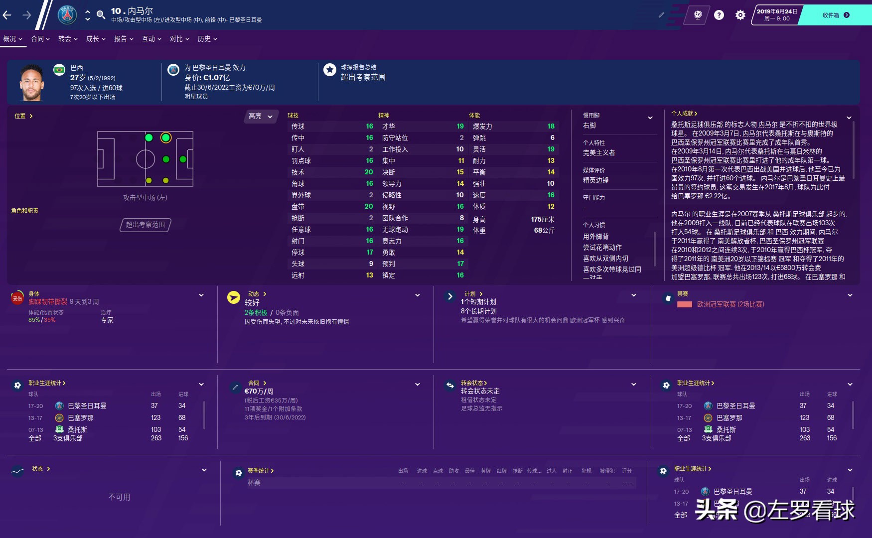 fm足球经理2024游戏模式,fm足球经理手机游戏