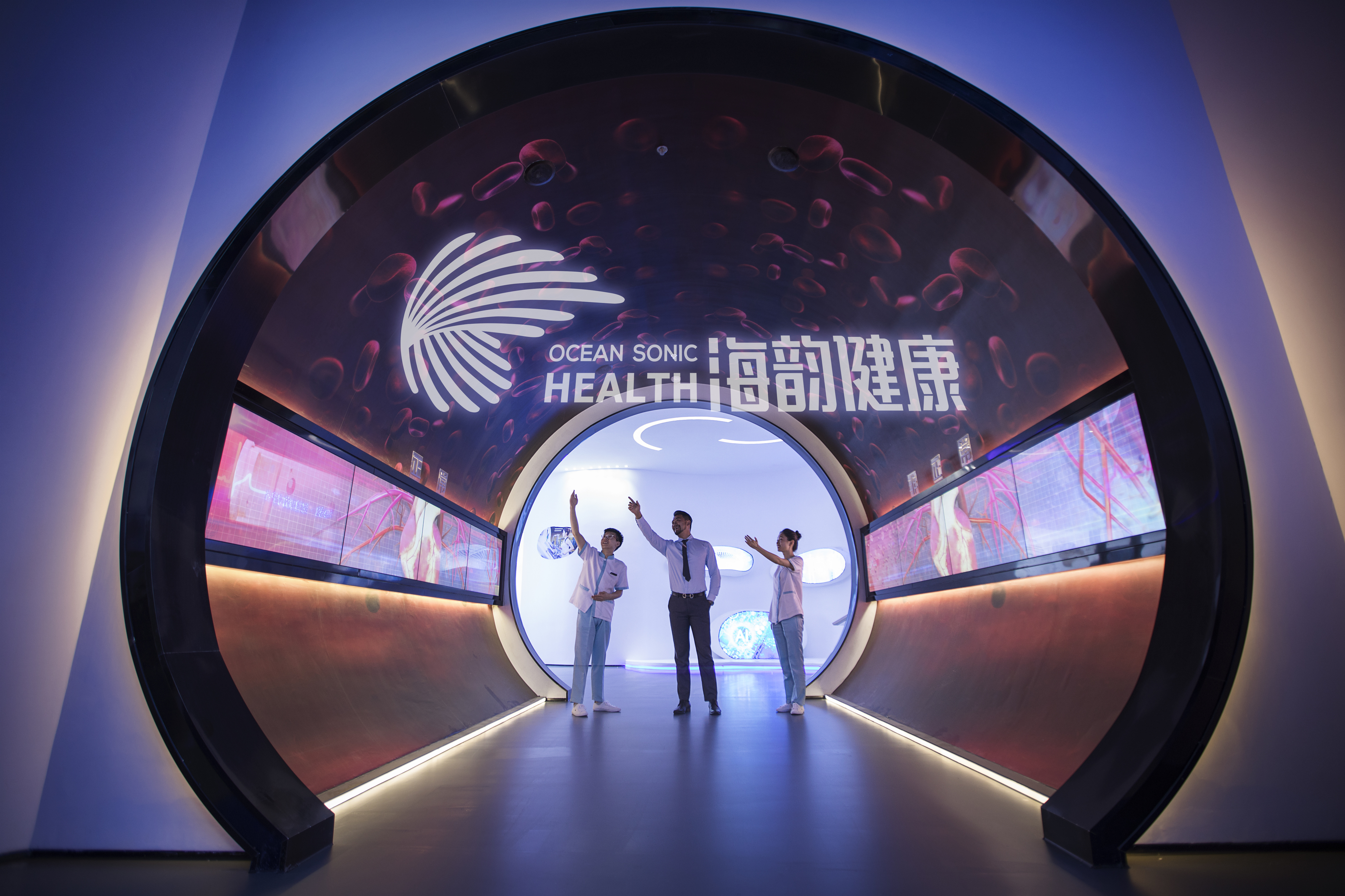 海南三亚海韵集团董事长陈宪清,海韵集团宋丽双和陈宪清什么关系