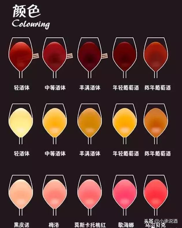 红酒初学者入门的知识,红酒小知识100例