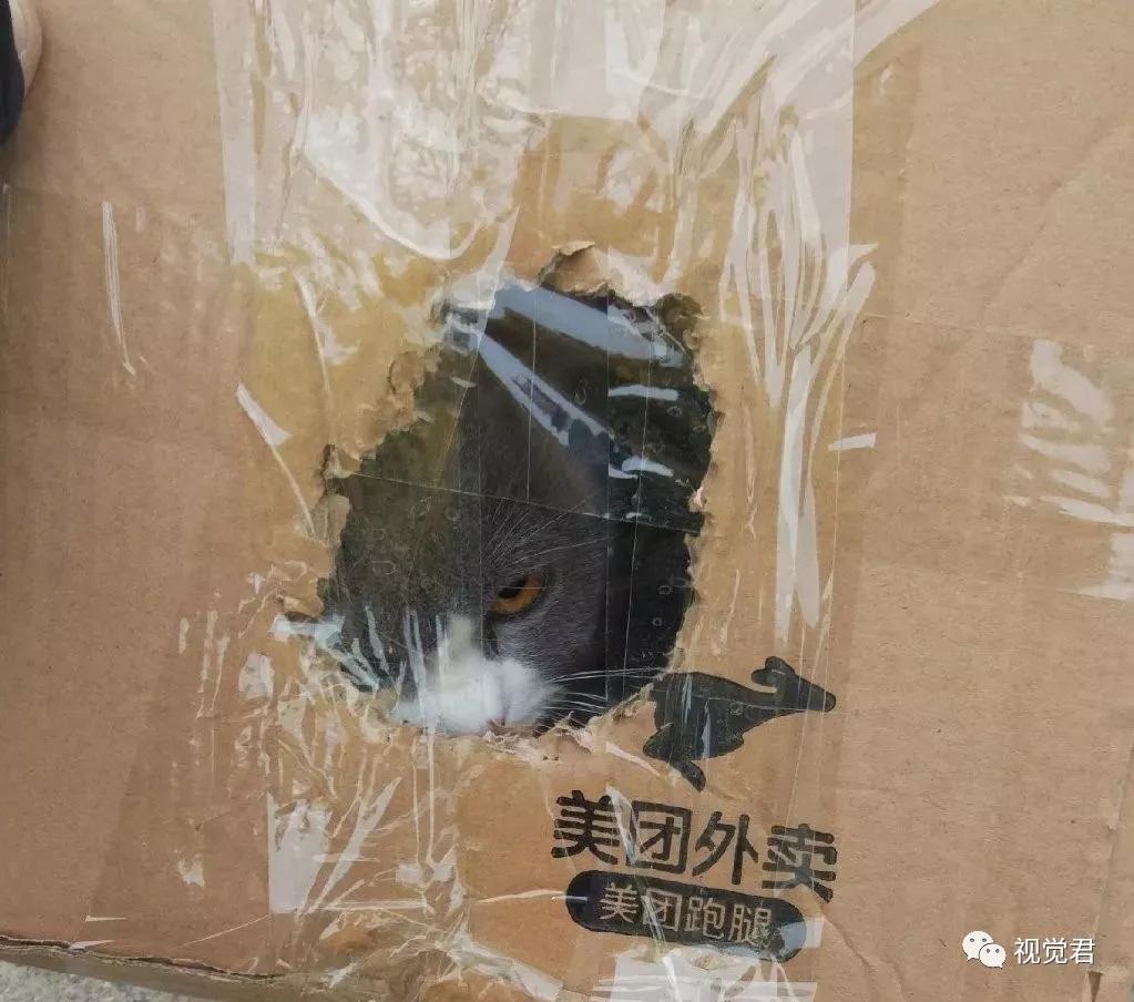 封城后外卖小哥故事,封城小哥跑外卖