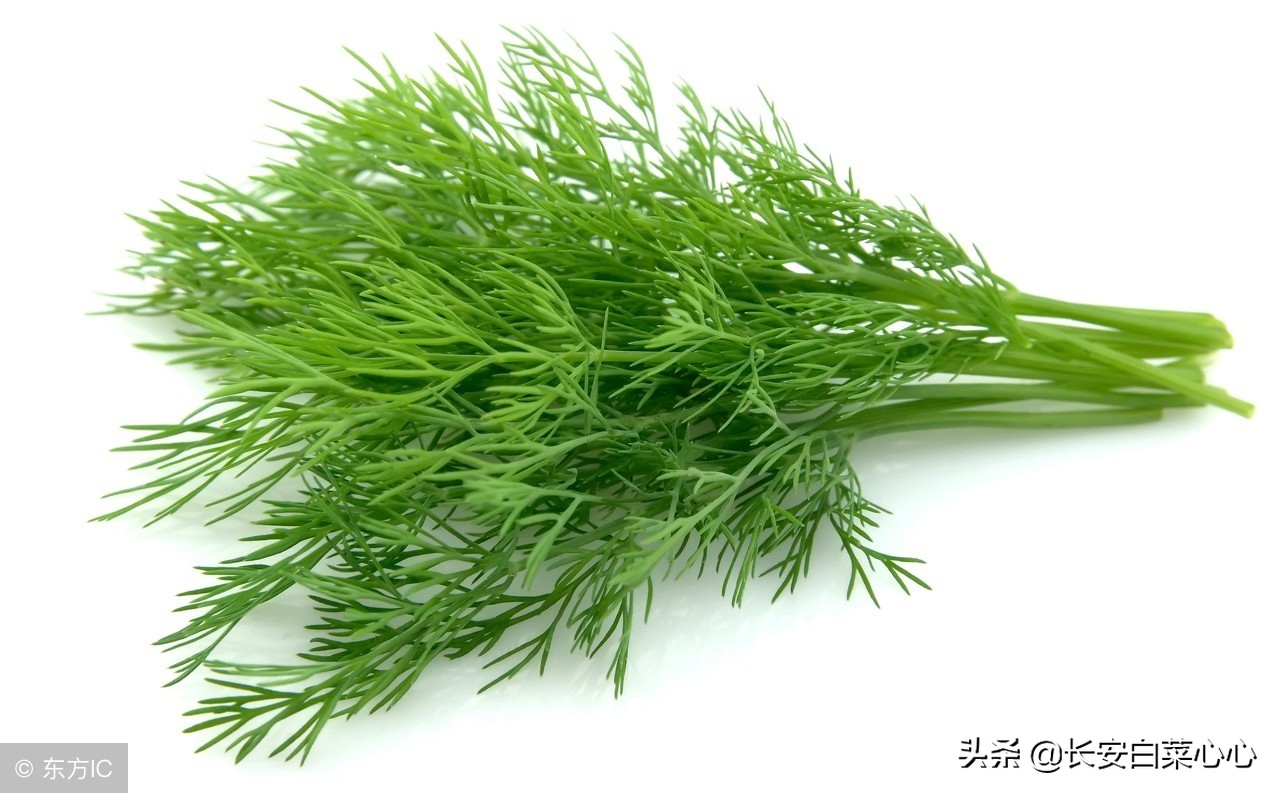 香料去除内脏腥臭味,香料增香的主要君臣香料