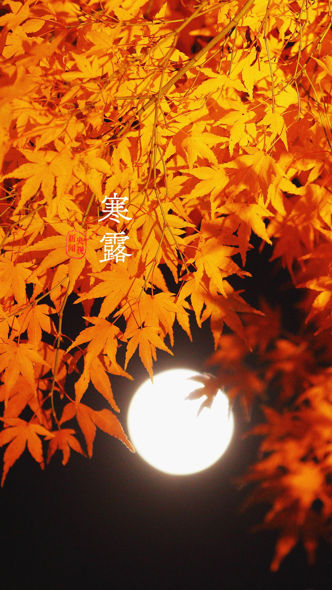 央视珍藏二十四节气手机壁纸,二十四节气壁纸手机超清全面屏