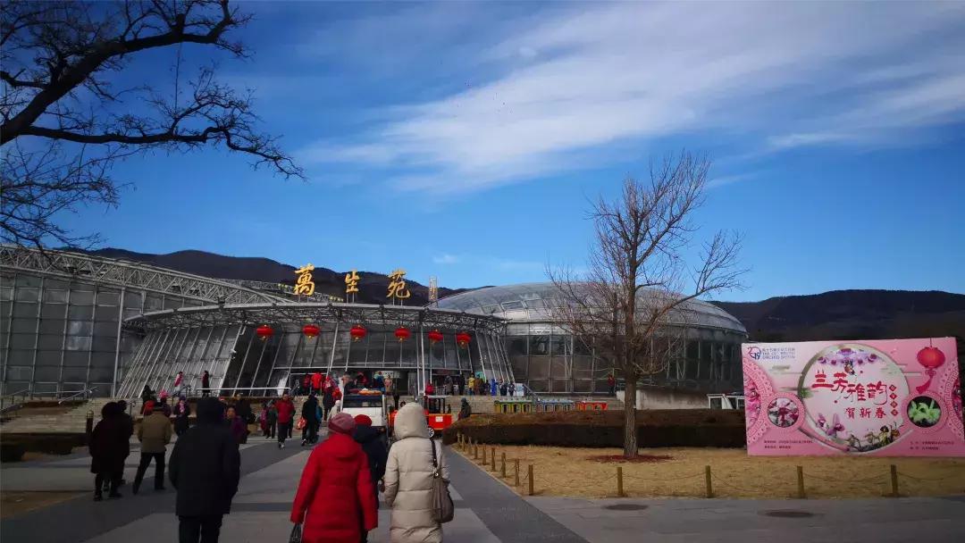 美美美！海淀这个地儿，万株兰花惊艳来袭，你招架的住吗？