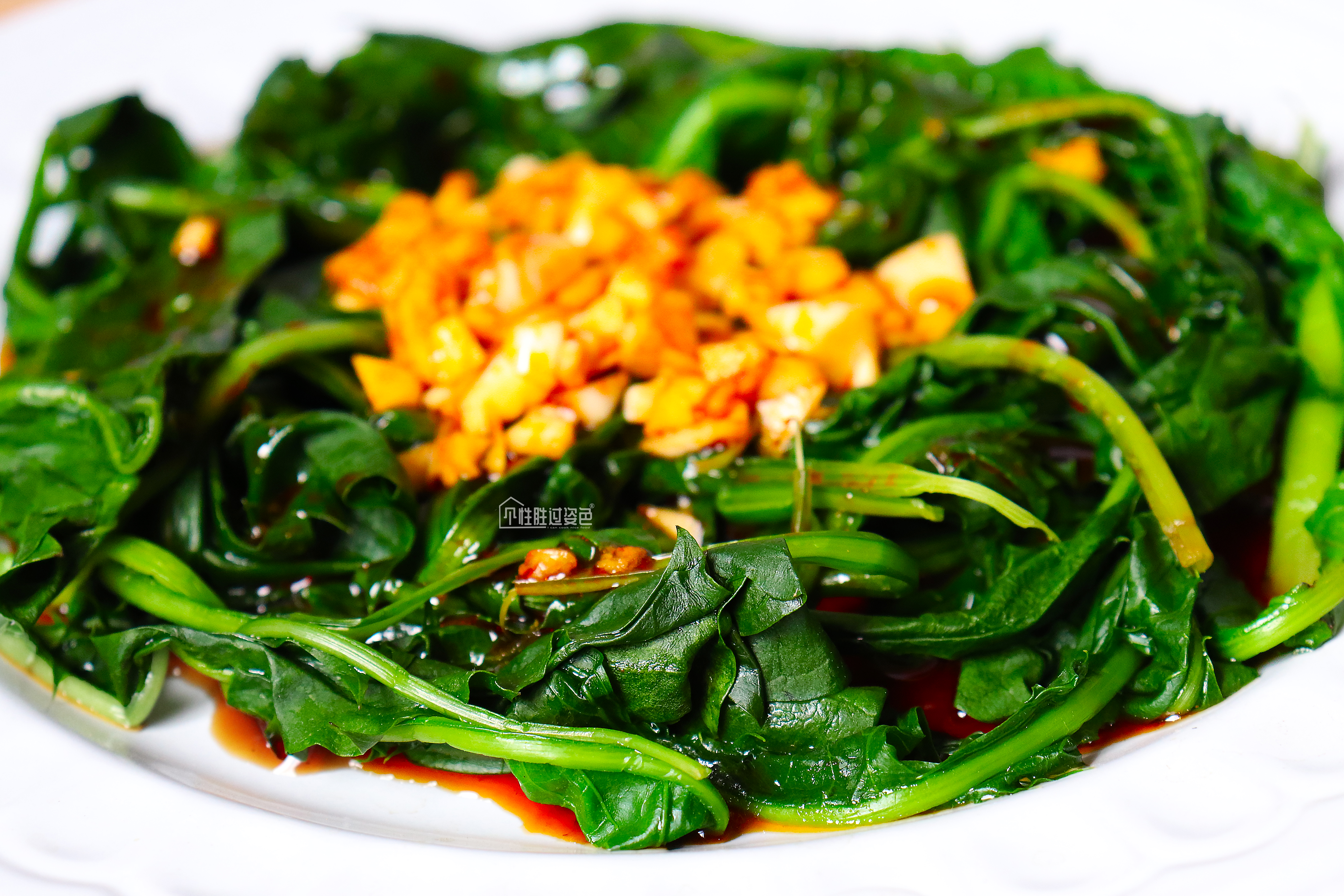 新鲜的蒲公英怎么做来下火,夏天这菜别错过清热消暑