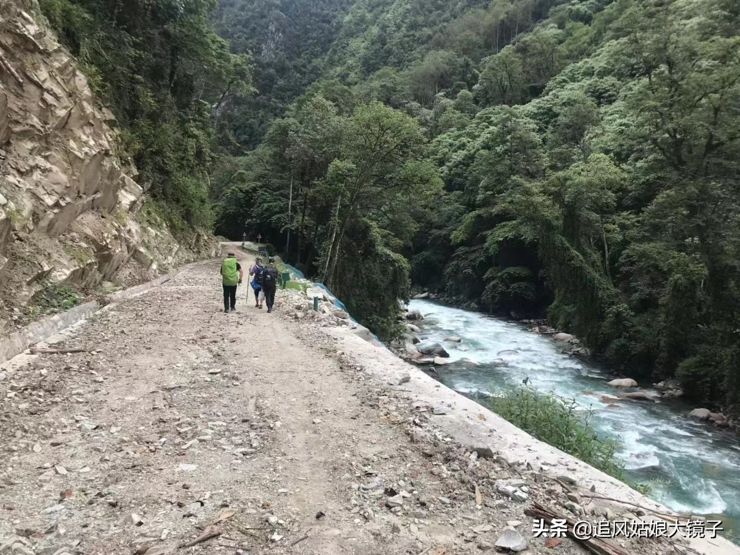 穿越到原始森林里面,穿越原始森林来种田
