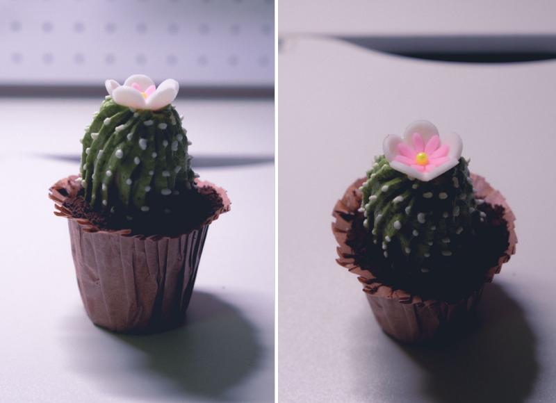 零基础的最新裱花教程你学会了吗,学习裱花速成的办法