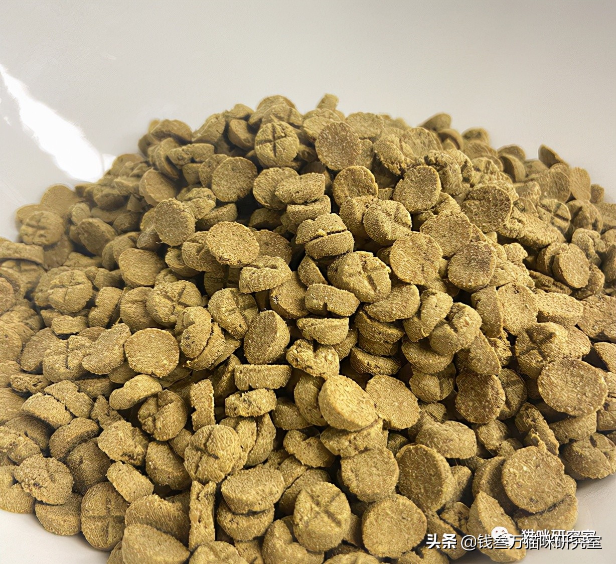 鲜朗烘焙粮卖点,鲜朗烘焙猫粮旗舰店正品直播