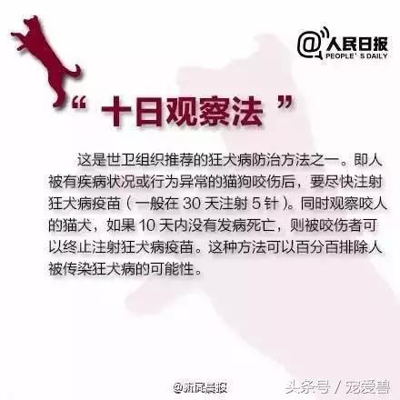 被猫抓伤咬伤要打疫苗吗,被猫狗抓伤需要打破伤风吗