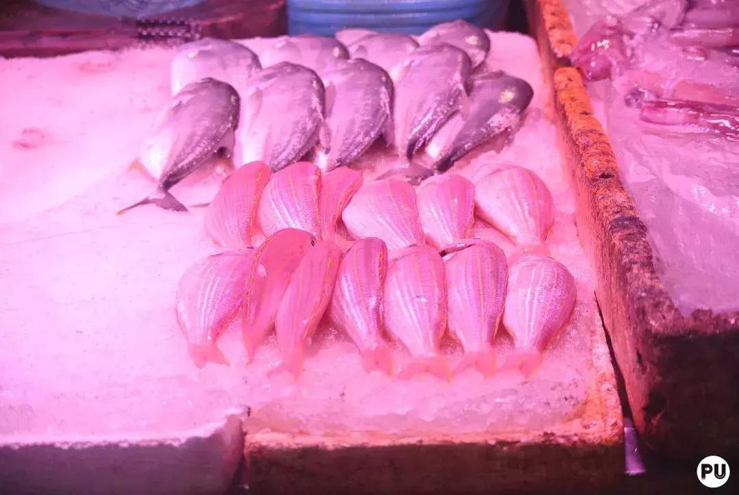 西塱市场,市井里的农贸市场