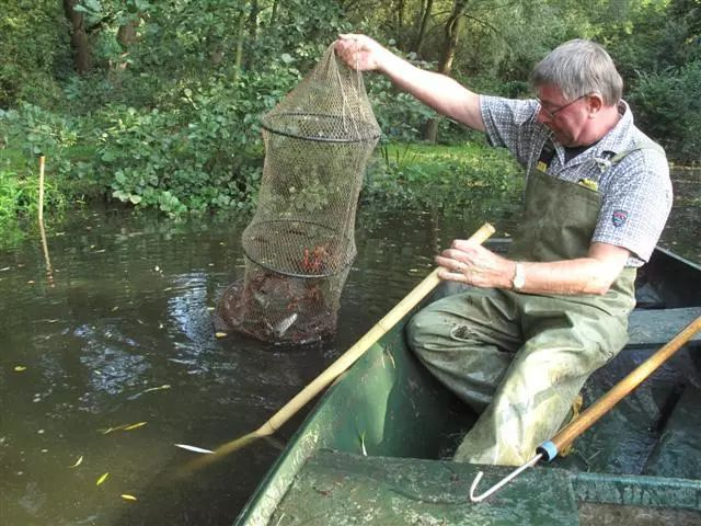 这个小镇小龙虾泛滥成灾，荷兰人不敢出门，我十三香都备好了....