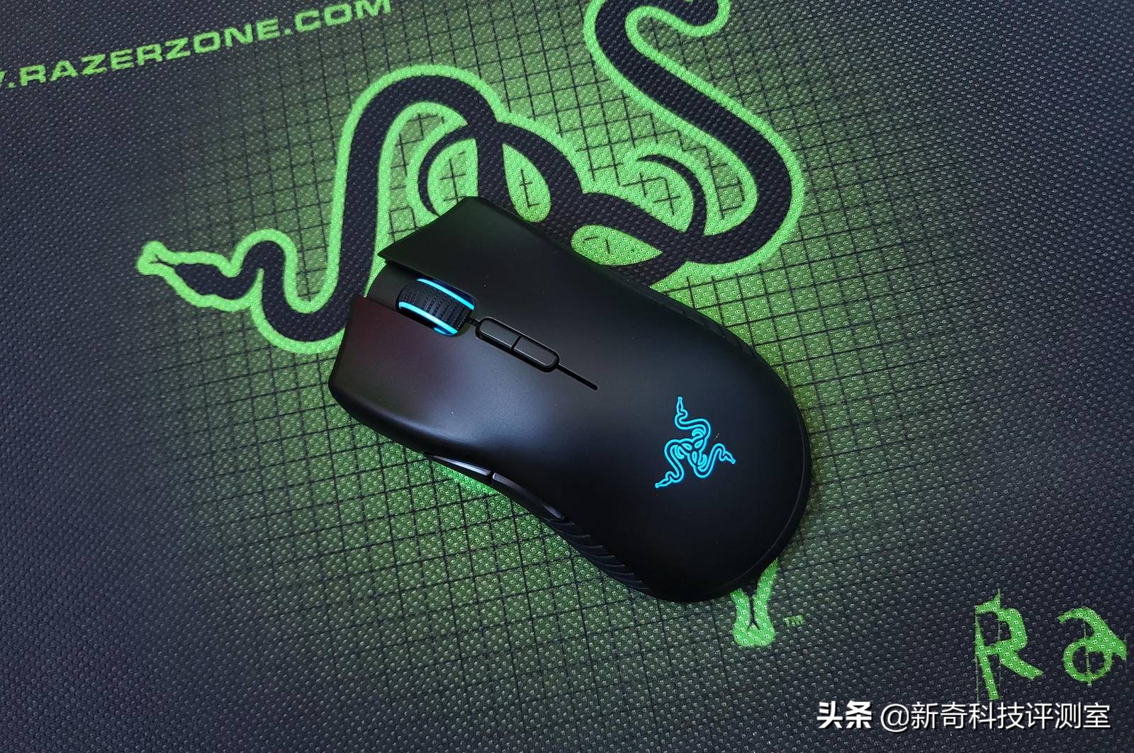 雷蛇曼巴眼镜蛇5g怎么样,真香警告电影完整版免费