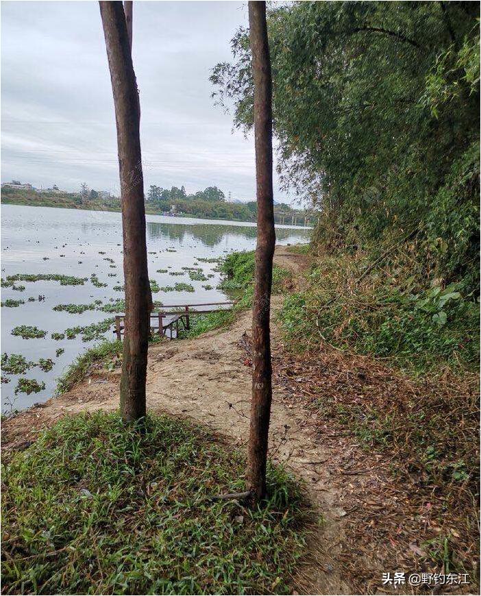 深圳大鹏野钓免费最佳地点,深圳福田野钓地点在哪里