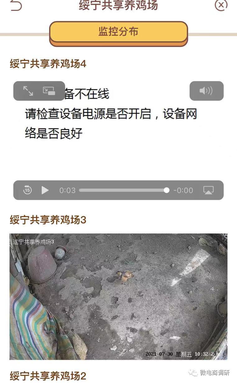 揭秘惠商在线“鸡玩”项目：在线养鸡，可年入百万？