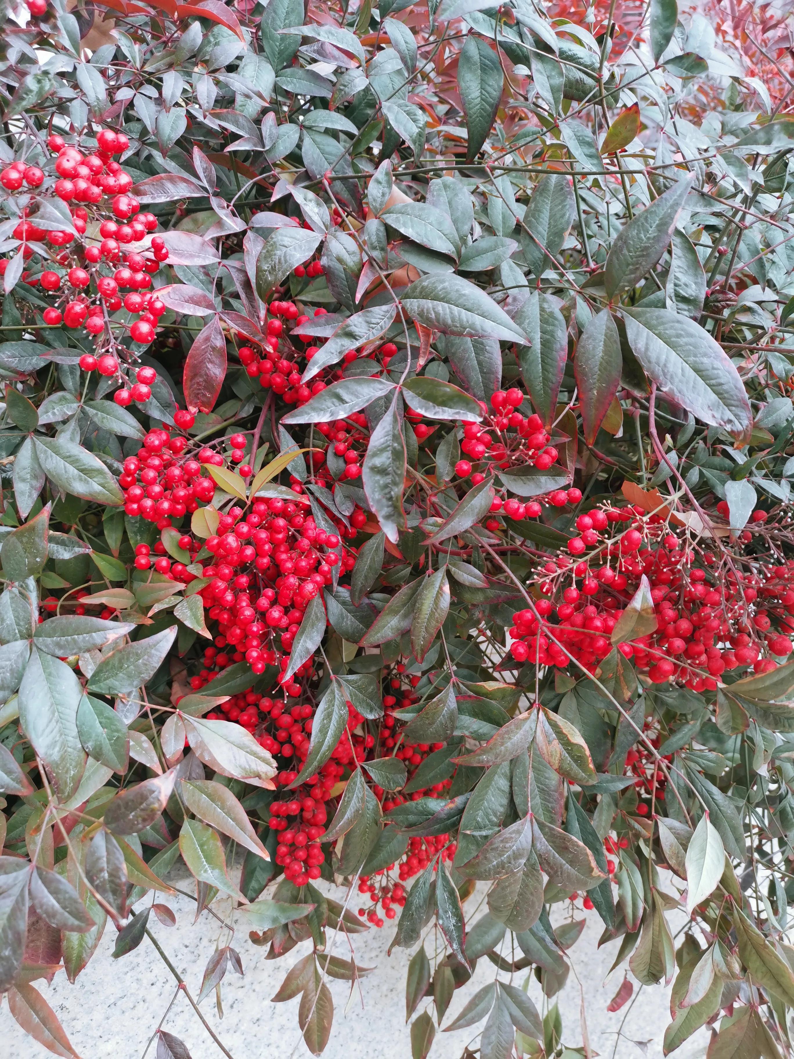 法律服务行业现状及发展趋势,法律服务行业新模式