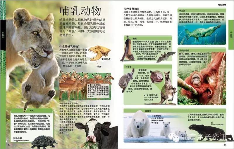 顶级儿童百科全书,dk儿童百科全书适合几岁