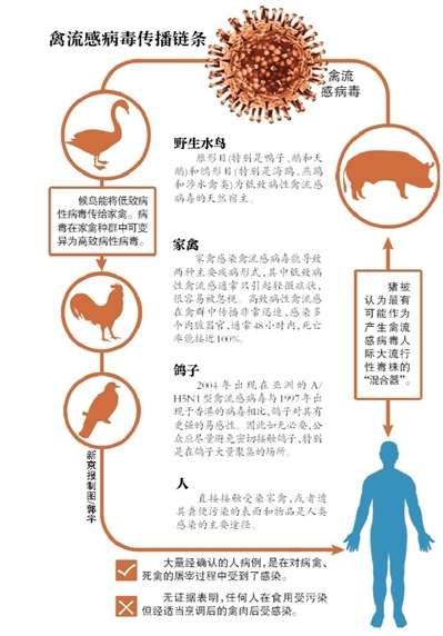 2020禽流感传播途径,h5n1型禽流感的传播途径是什么