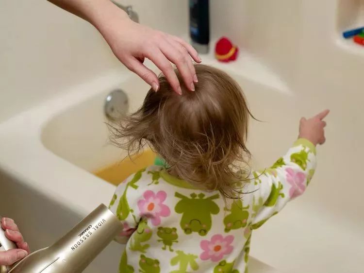 荷兰国家的教育孩子方式 (荷兰的父母怎么教育孩子)