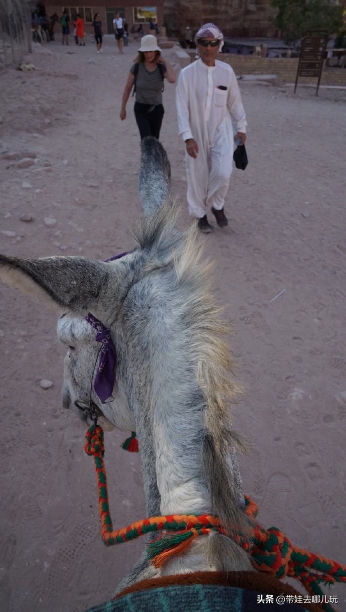 以色列约旦繁星之旅,约旦以色列之旅