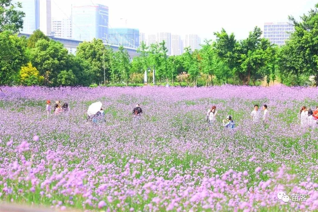 福州一日游不要钱最佳景点,福州周边短途一日游攻略的文章