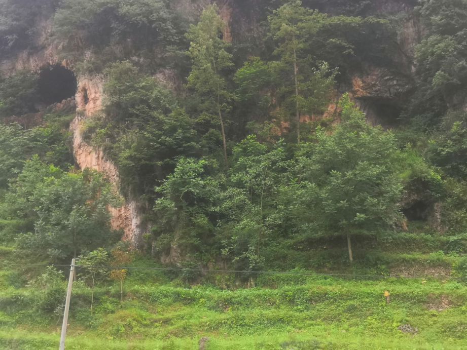 《山沟沟里飞向蓝天的雄鹰》～蔡鑫