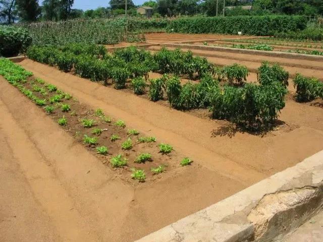 砺剑春秋|大山深处的“老房子”