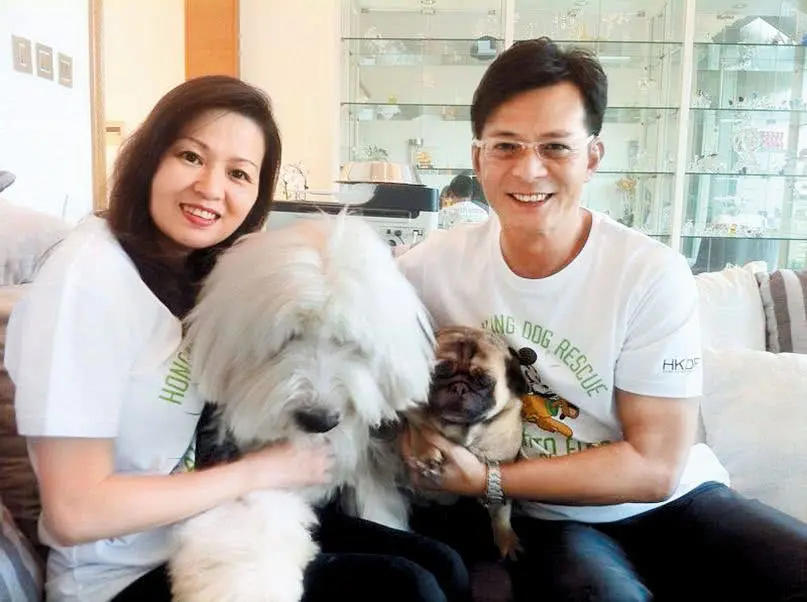 黄日华老婆梁洁华出殡,梁洁华出殡黄日华写信