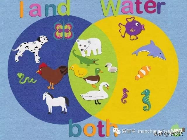 数123算7+6就是数学启蒙？5岁孩子的数学题真让我觉得自己out了