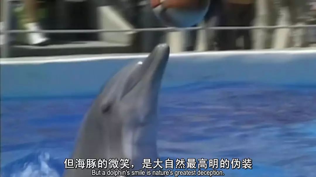 时尚貂皮大衣,貂皮大衣高贵的颜色