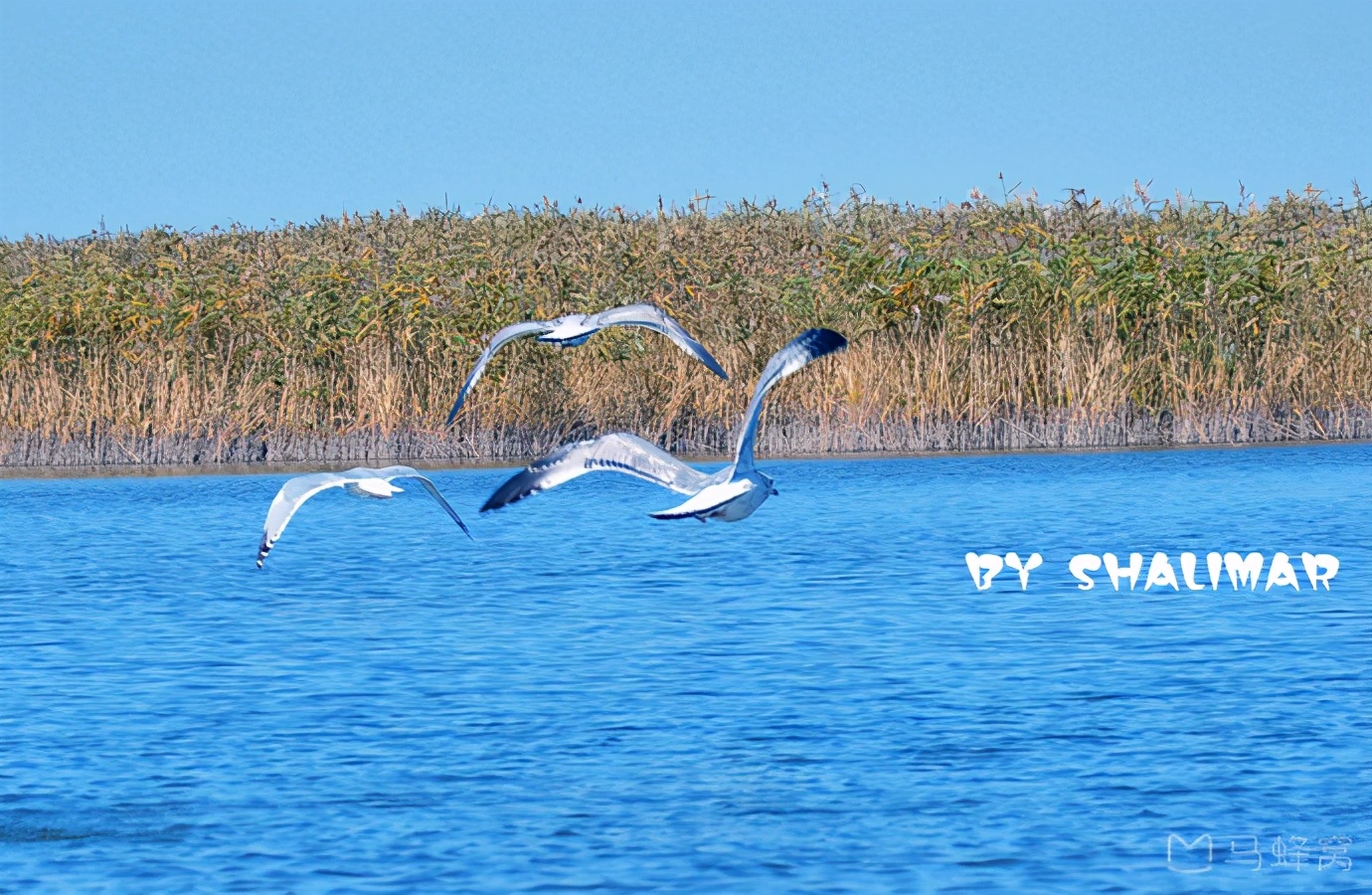 辽宁省盘锦市有什么区,浅谈全国各省份