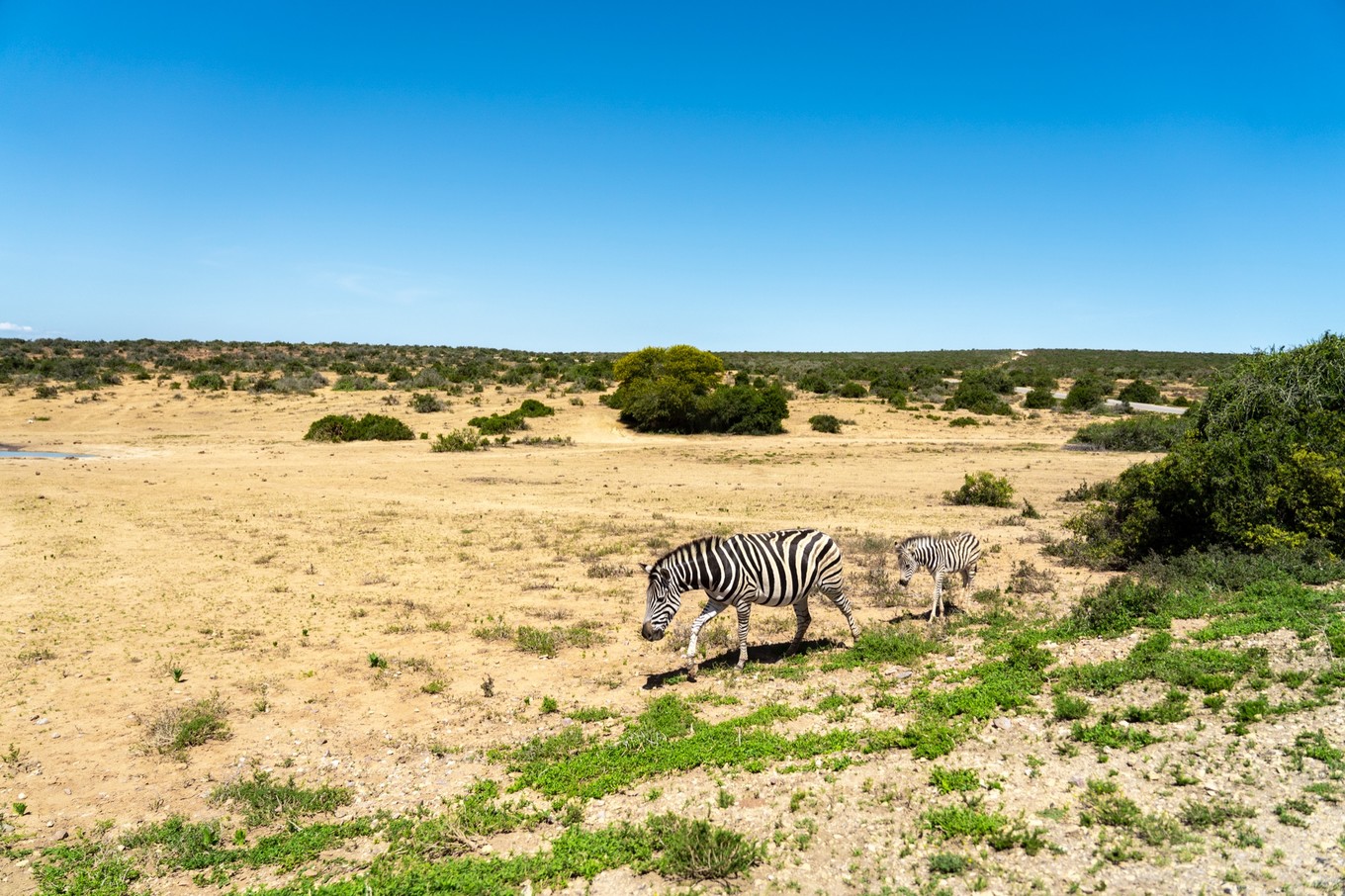 南非自驾游,南非自驾游最新
